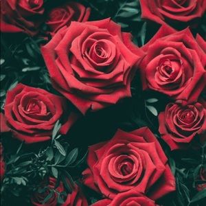 Meet your Posher, Fatima